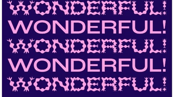 Wonderful! Ecco chi ha vinto 