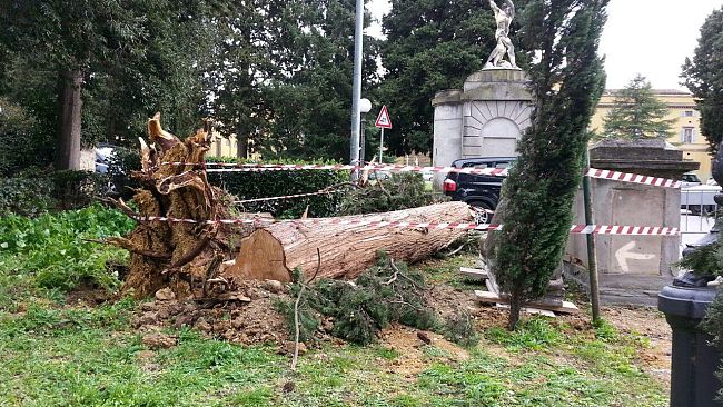 Bufera a Firenze: 600 mila euro per riparare i danni del maltempo