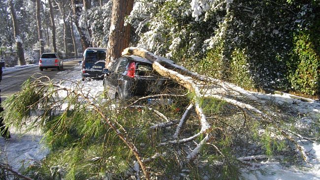 Le testimonianze dei cittadini danneggiati dal blocco della mobilità