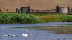 Apertura straordinaria Oasi di Gabbianello