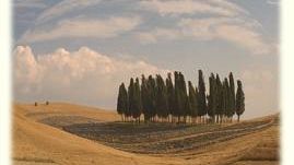 Festival della Valdorcia dal 29 luglio al 14 agosto