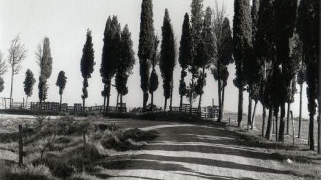 Fotografia: a Firenze la mostra <I>Paesaggi Italiani</I> di George Tatge
