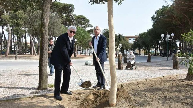 Domani previsto vento fino a 60/80 chilometri orari