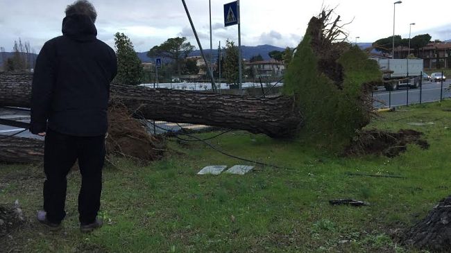 Emergenza freddo: molto vento domani a Firenze