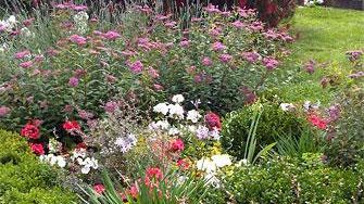 Harborea: festa dei giardini e delle piante d'oltremare di Livorno