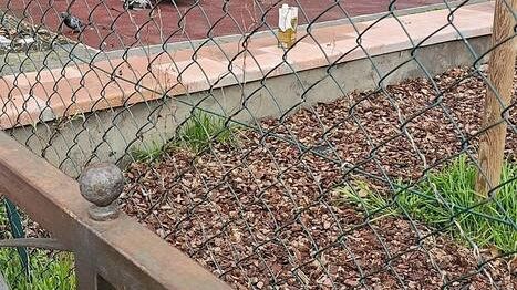 Giardino di Via Galliano: aperto da due settimane e già danneggiato