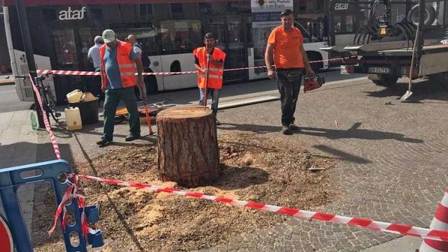 Tabula rasa a Santa Maria Novella: costerà meno gestire gli uccelli?