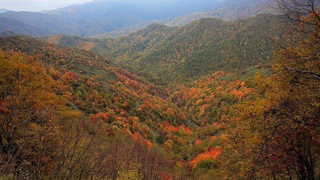 Autunno: un viaggio di buon cibo e bellezza in una Toscana tutta da scoprire
