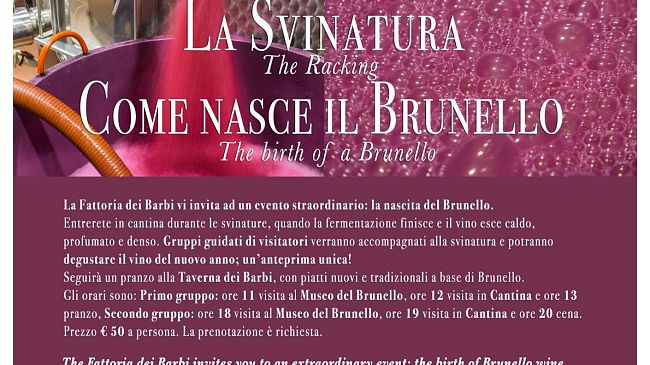  Svinatura e nascita del Brunello, a Montalcino alla Fattoria dei Barbi