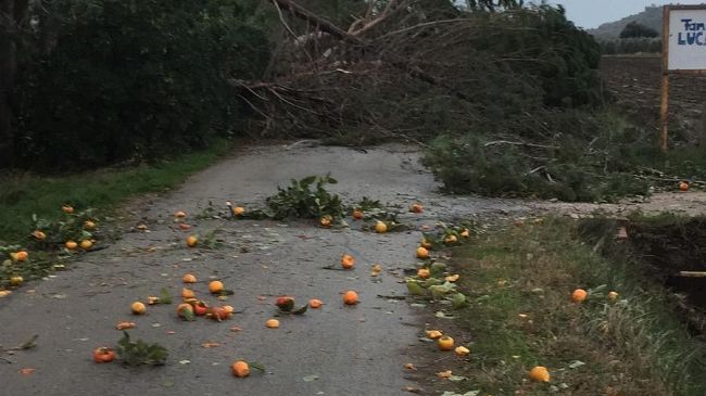 Incidente mortale a Pescia
