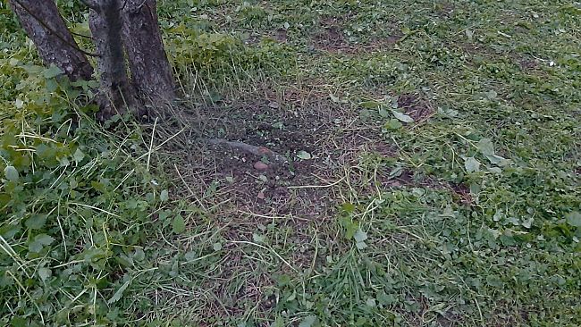 Boato alla scuola in Via San Donato