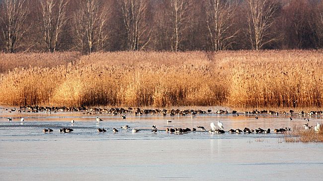 Firenze: da giovedì possibilità di neve anche a basse quote