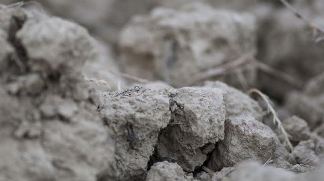 Un’Estate all’insegna dell’eccellenza a Rocca di Montemassi e Castello di Albola