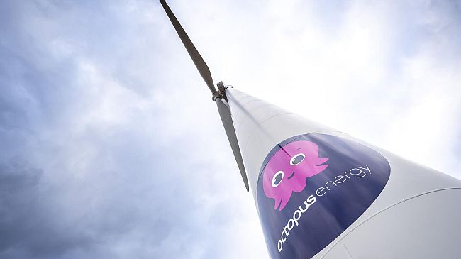 Octopus Energy, straordinaria crescita in Europa e Nord America
