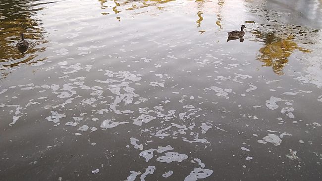 Bomba carta in Sdrucciolo de’ Pitti