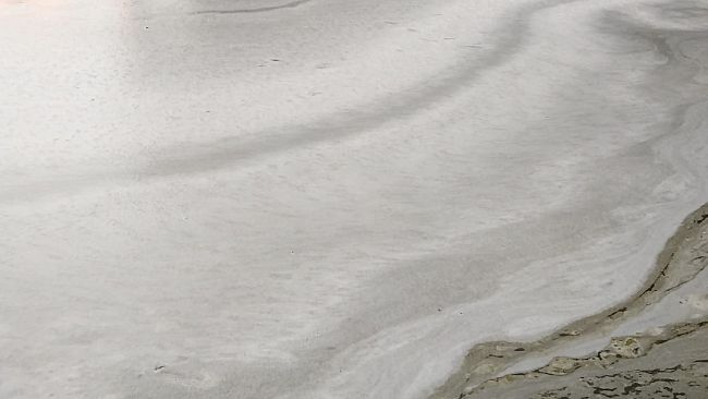 Villa Vogel, schiuma nel laghetto: cosa succede?