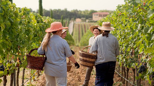 E' cominciato Cantine Aperte