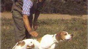 Caccia: sì alla preapertura, ma è bufera