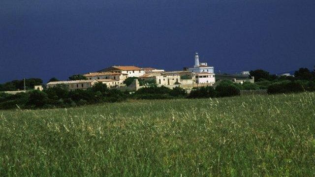 Carceri: il governo riaprirà Pianosa