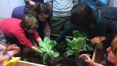 Il premio Zini avrà anche una specifica sezione Orti di Campagna Amica