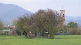 Inflazione: in calo i prezzi sui campi, ma sugli scaffali gli alimentari restano cari