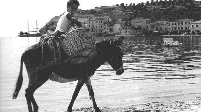 La spiaggia di Marina di Campo: splendore e tragedia fra le due guerre mondiali