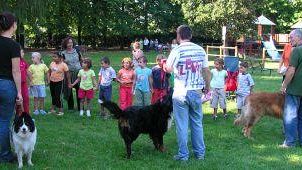 Animali in auto? Il 23% dei fiorentini viaggia con il proprio amico a 4 zampe