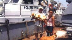 Un progetto di recupero affettivo ed adozione dei randagi di Gorgona