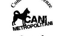 Cani metropolitani: un’iniziativa originale