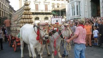 Bacco Artigiano 2013