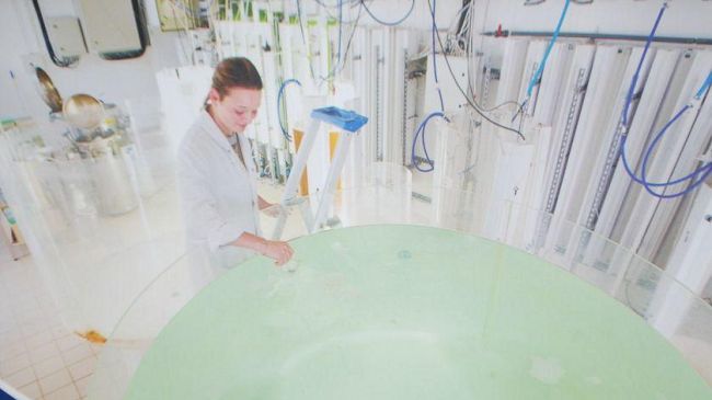 Una guida on line sul nuovo permesso di soggiorno per i lavoratori stranieri