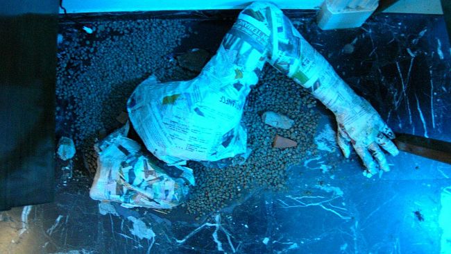 ''Private Flat'': nel fine settimana l'arte contemporanea in casa