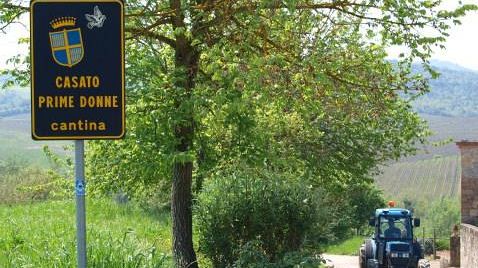 Casato Prime Donne, un'azienda 100% quote rosa