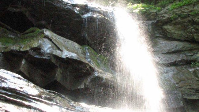 Estate rovente: week end nelle Foreste casentinesi