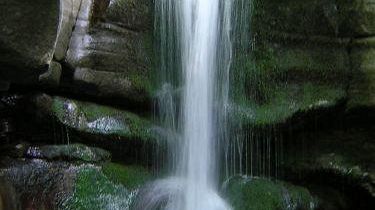 Domenica dove: le opportunità del 25 maggio