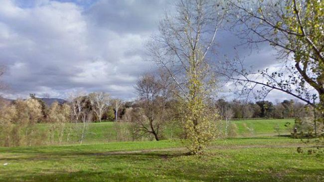 Caso di dengue all'Isolotto: scattata la disinfestazione