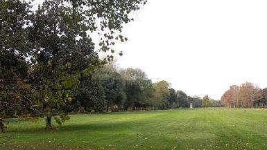 “Verde on Web”  tutti i giardini di Firenze a portata di click