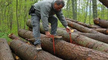 Allerta per il vento
