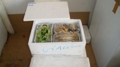 Carabinieri dei Nas sequestrano un catering e trovano anche pastificio abusivo