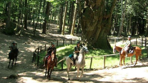 Festa Rinascimentale in Castello: il 27 ottobre a Pontassieve