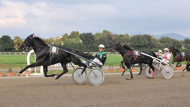 Palio esercizi storici domani al Visarno
