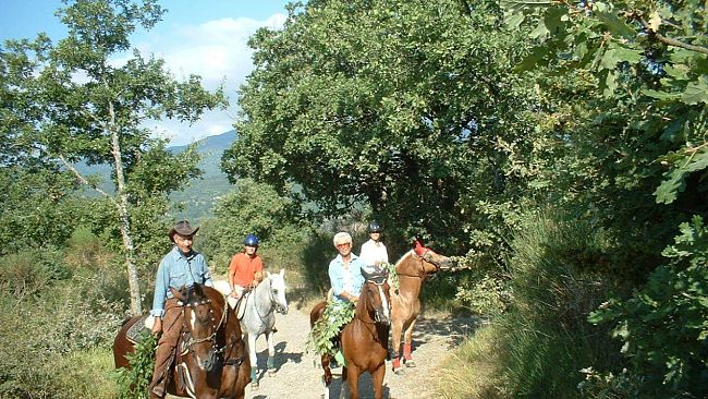 Week end tra scienza, tradizioni officinali e escursioni nel Parco Nazionale Foreste Casentinesi