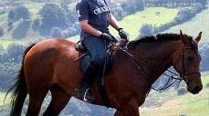 Eventi: alla Consuma i cavalli fanno festa