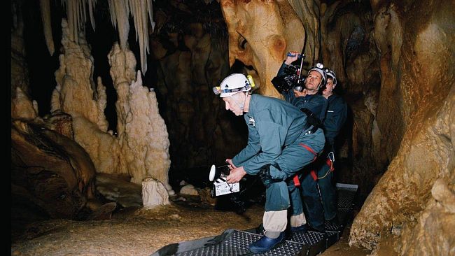 Lunedì Werner Herzog in 3D e anche on line