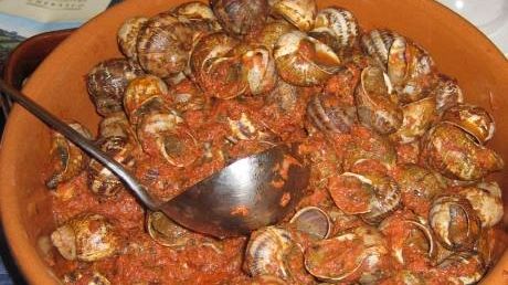 Dal 6 novembre la Biennale enogastronomica fiorentina