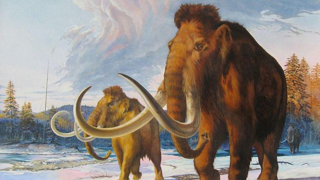 Cetona: inaugura la mostra Disegnare l'archeologia