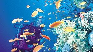 La vacanza dei fiorentini? Ad agosto al mare