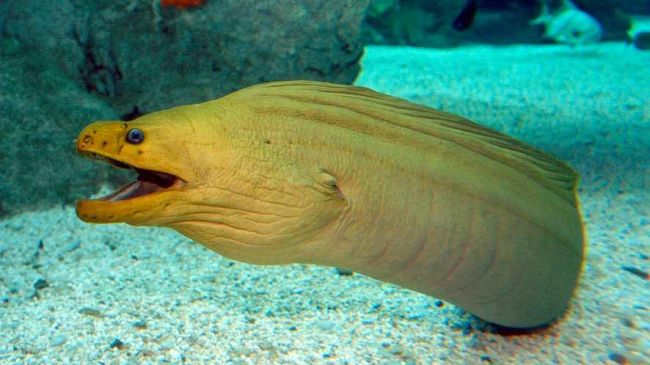 Volo in ritardo, dopo 4 anni la sentenza per quattro famiglie di Grosseto