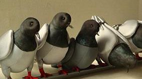 Le sculture morbide di Marlene Mangold al Knit Café