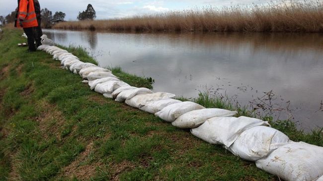 Ultima emergenza in Toscana costata 410.000 euro  solo per Massaciuccoli